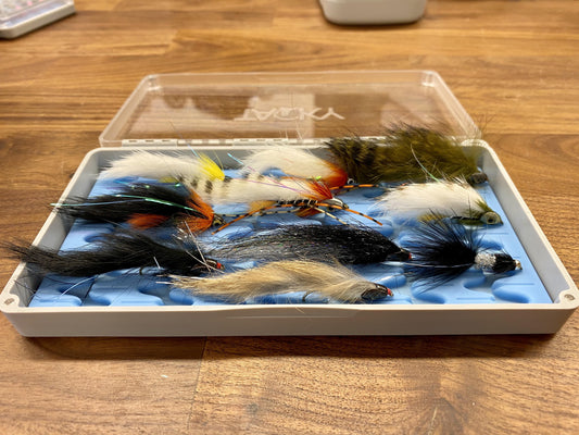 Tacky The Big Bug Box Veidifelagid.is