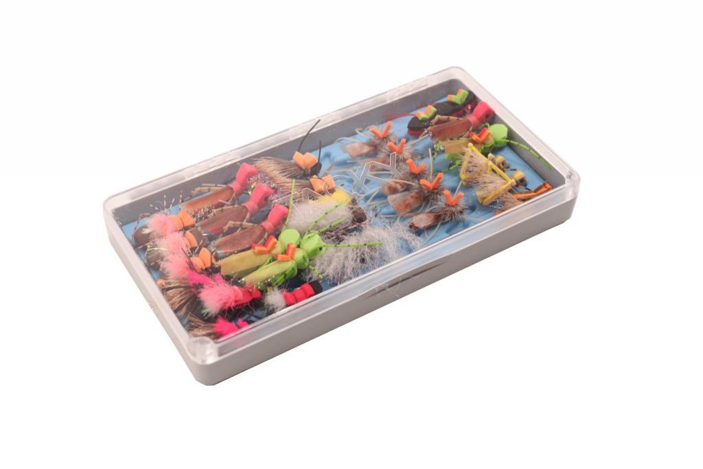 Tacky The Big Bug Box Veidifelagid.is