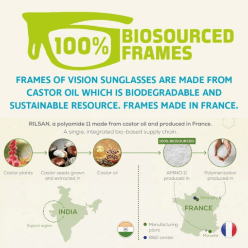 2×4 gleraugu frá Vision