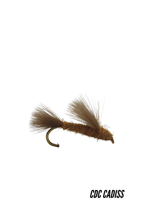 Silungaflugur - CDC Caddis - Votfluga