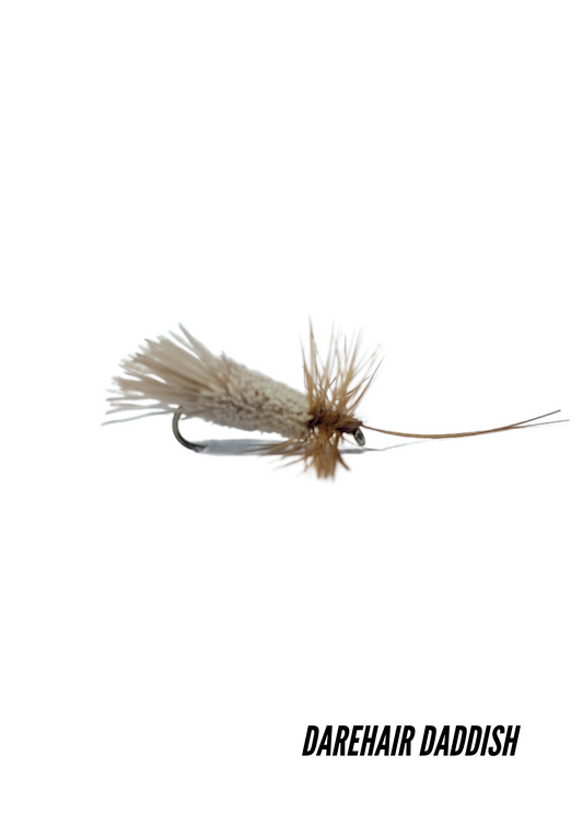 Silungaflugur - Goddard Caddis  - Þurrfluga