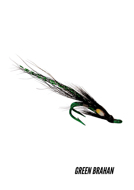 Laxaflugur - Green Brahan - Tvíkrækja