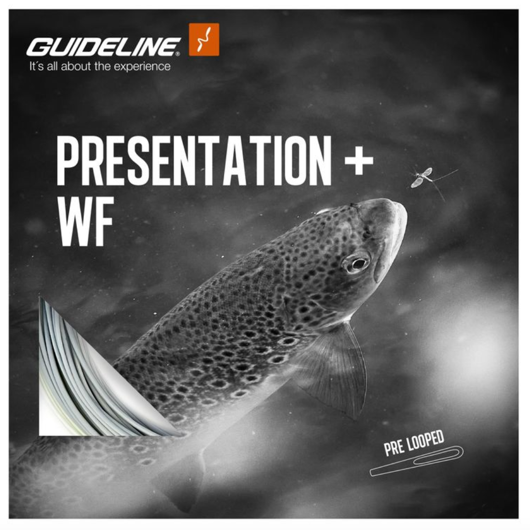 Guideline - Presentation+ WF